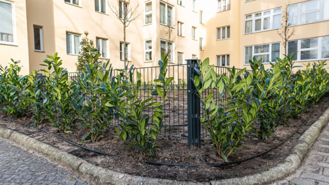 lencro_reichsstraße-10 lencro_reichsstraße-10