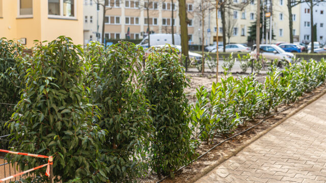 lencro_reichsstraße-15 lencro_reichsstraße-15