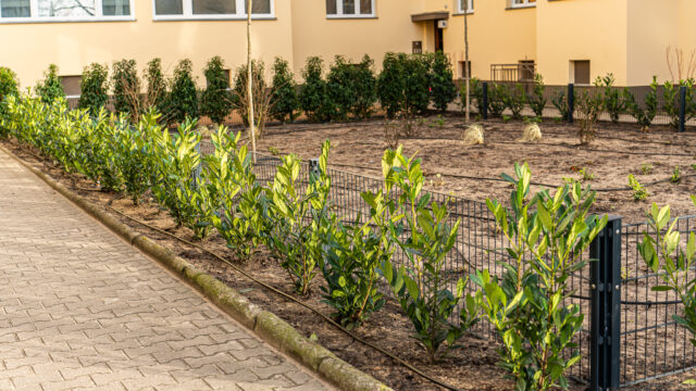 lencro_reichsstraße-16 lencro_reichsstraße-16