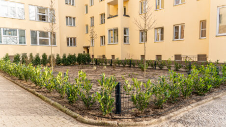Projekt – Mietergarten