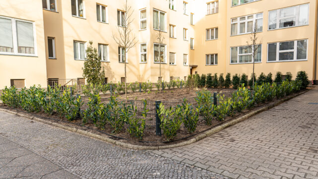 lencro_reichsstraße-19 lencro_reichsstraße-19