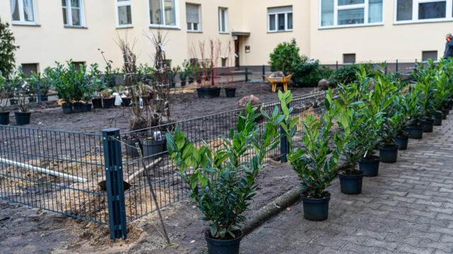 lencro_reichsstraße-36 lencro_reichsstraße-36