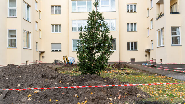 lencro_reichsstraße-50 lencro_reichsstraße-50