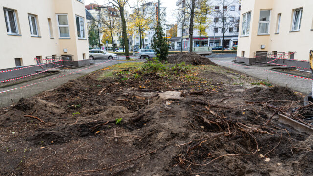 lencro_reichsstraße-53 lencro_reichsstraße-53