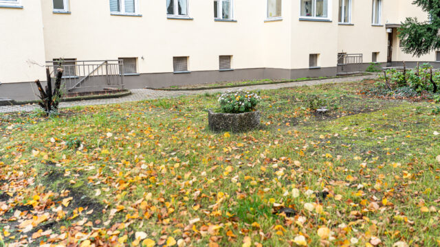 lencro_reichsstraße-56 lencro_reichsstraße-56