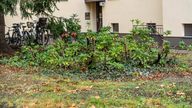 lencro_reichsstraße-62 lencro_reichsstraße-62
