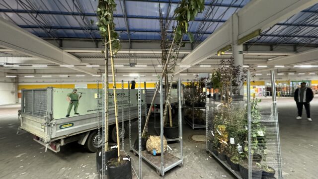 IMG_3510 IMG_3510