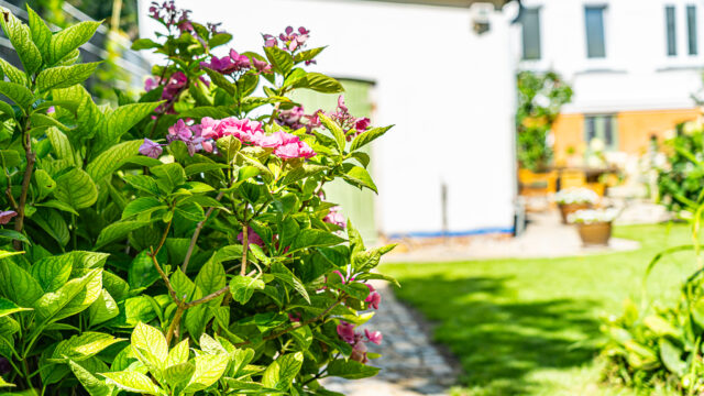 lencro_gartenbau_2_villen_verbinden-02