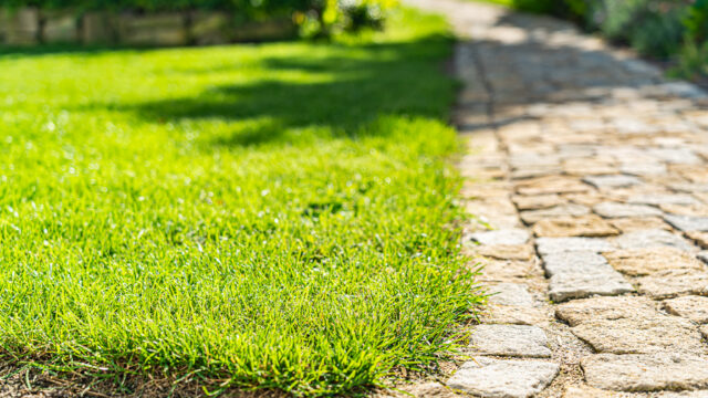 lencro_gartenbau_2_villen_verbinden-04