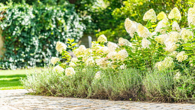 lencro_gartenbau_2_villen_verbinden-15