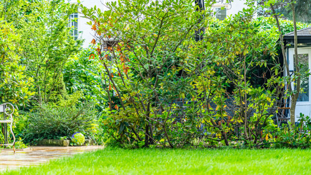 lencro_gartenbau_projekt_hausumlauf-07 lencro_gartenbau_projekt_hausumlauf-07