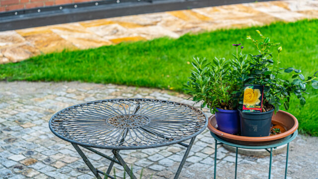 lencro_gartenbau_projekt_hausumlauf-08 lencro_gartenbau_projekt_hausumlauf-08