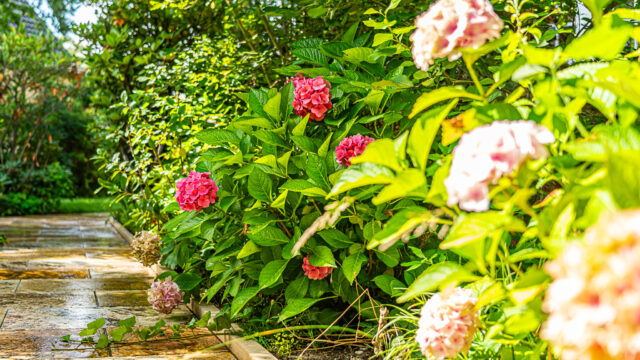 lencro_gartenbau_projekt_hausumlauf-19 lencro_gartenbau_projekt_hausumlauf-19