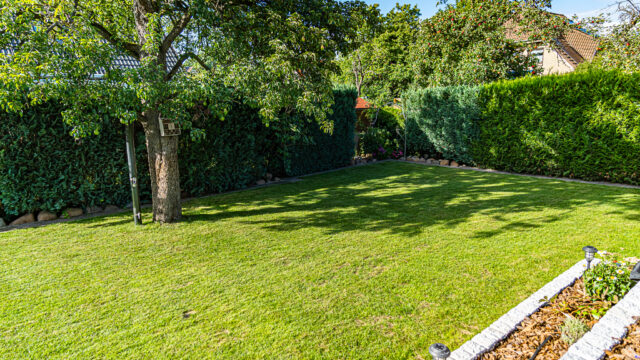 lencro_projekt_haus_mit_garten-05