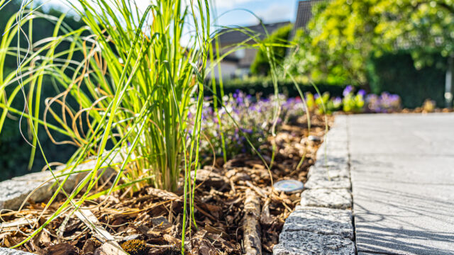 lencro_projekt_haus_mit_garten-12