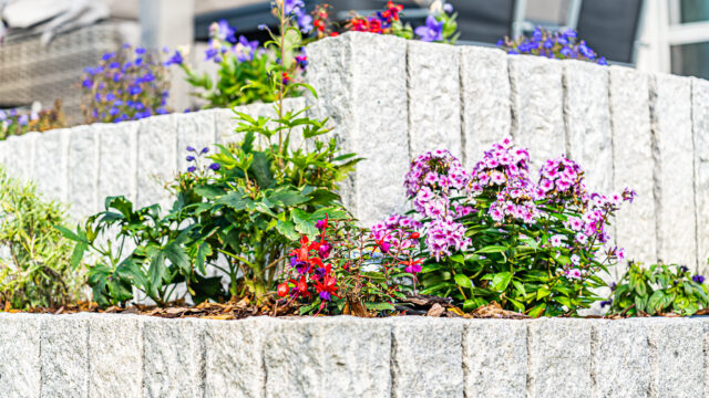 lencro_projekt_haus_mit_garten-24
