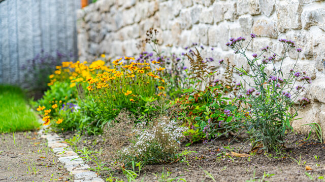 lencro_gartenbau_projekt_gartenparzelle-04 lencro_gartenbau_projekt_gartenparzelle-04