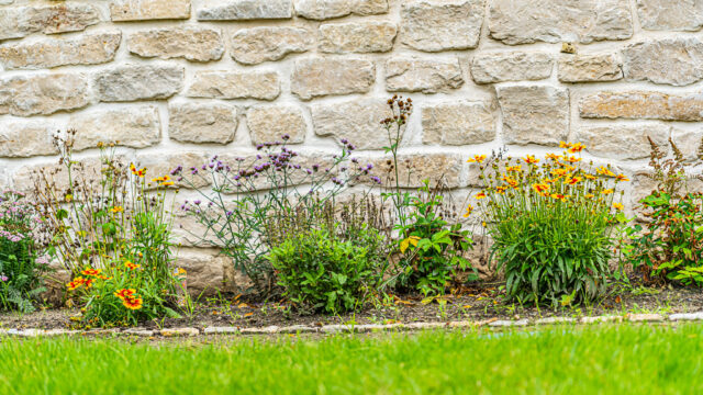 lencro_gartenbau_projekt_gartenparzelle-09 lencro_gartenbau_projekt_gartenparzelle-09