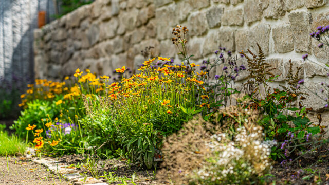lencro_gartenbau_projekt_gartenparzelle-21 lencro_gartenbau_projekt_gartenparzelle-21