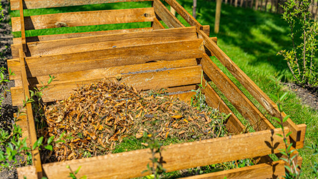 lencro_gartenbau_projekt_gartenparzelle-38 lencro_gartenbau_projekt_gartenparzelle-38