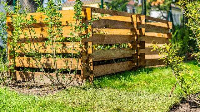 lencro_gartenbau_projekt_gartenparzelle-39 lencro_gartenbau_projekt_gartenparzelle-39