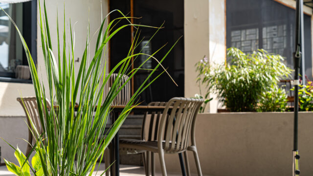 lencro_gartenbau_gala_garten_gartenideen_obi_bauhaus_pool_gartenbau_sommer-15
