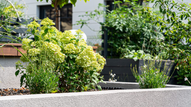 lencro_gartenbau_gala_garten_gartenideen_obi_bauhaus_pool_gartenbau_sommer-24