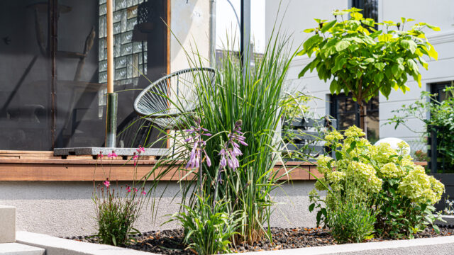 lencro_gartenbau_gala_garten_gartenideen_obi_bauhaus_pool_gartenbau_sommer-25