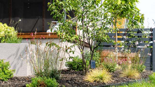 lencro_gartenbau_gala_garten_gartenideen_obi_bauhaus_pool_gartenbau_sommer-27