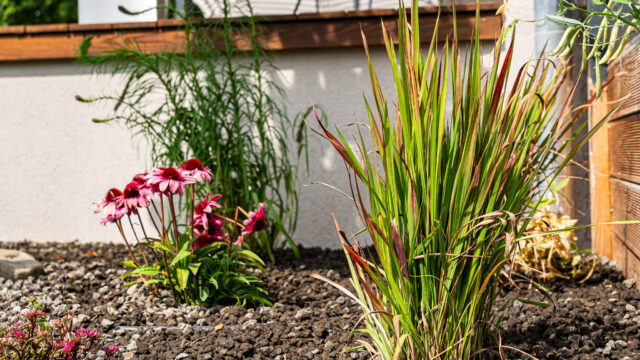 lencro_gartenbau_gala_garten_gartenideen_obi_bauhaus_pool_gartenbau_sommer-4