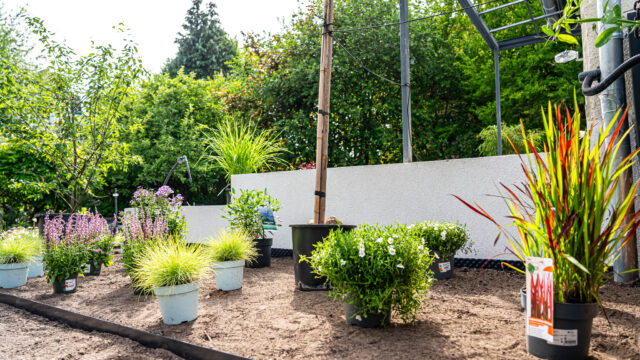 lencro_gartenbau_gala_garten_gartenideen_obi_bauhaus_pool_gartenbau_sommer-42