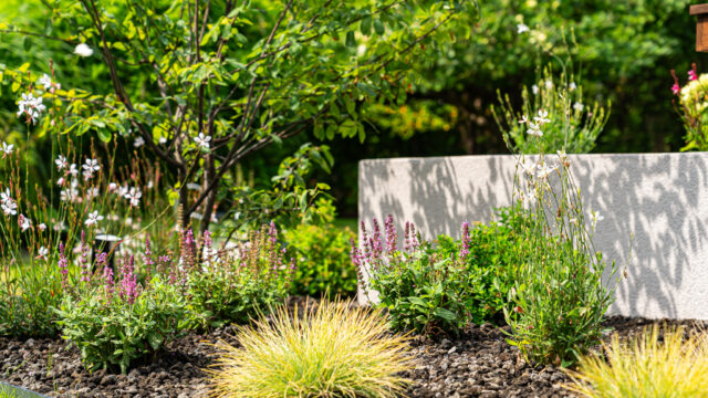 lencro_gartenbau_gala_garten_gartenideen_obi_bauhaus_pool_gartenbau_sommer-5