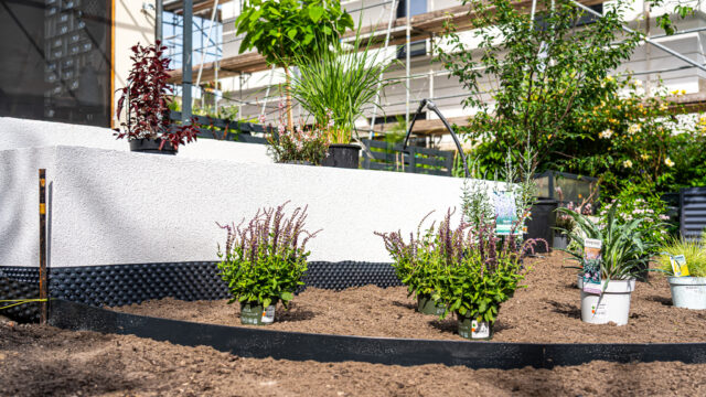 lencro_gartenbau_gala_garten_gartenideen_obi_bauhaus_pool_gartenbau_sommer-50