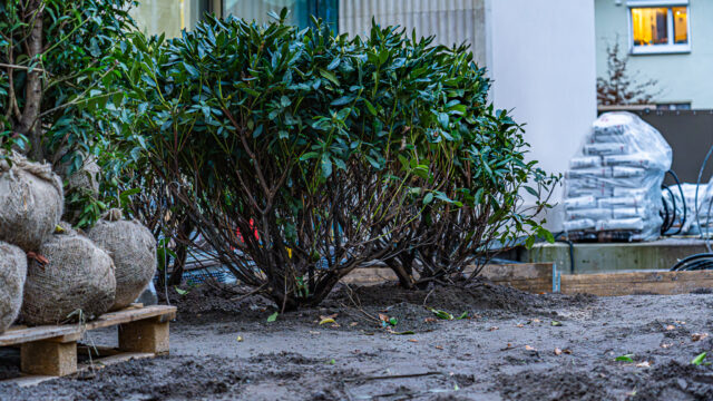 lencro_gartenbau_gala_projekt_stadtvilla-01