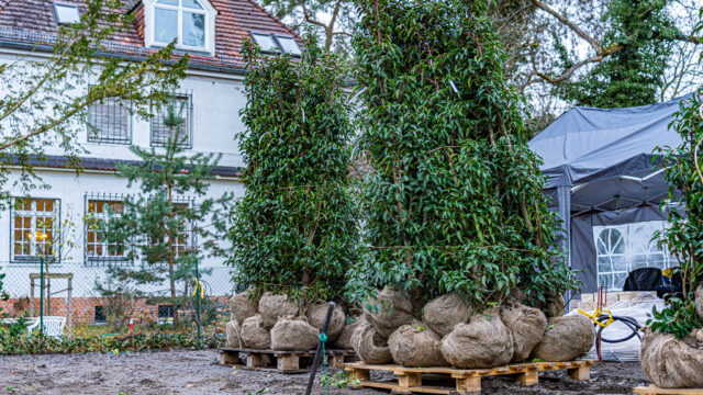 lencro_gartenbau_gala_projekt_stadtvilla-08