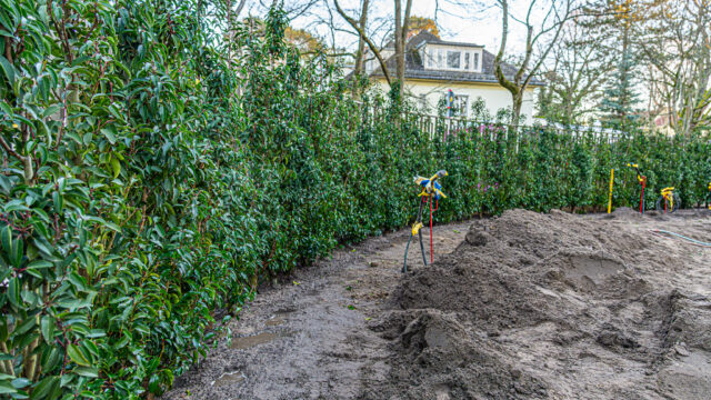 lencro_gartenbau_gala_projekt_stadtvilla-19