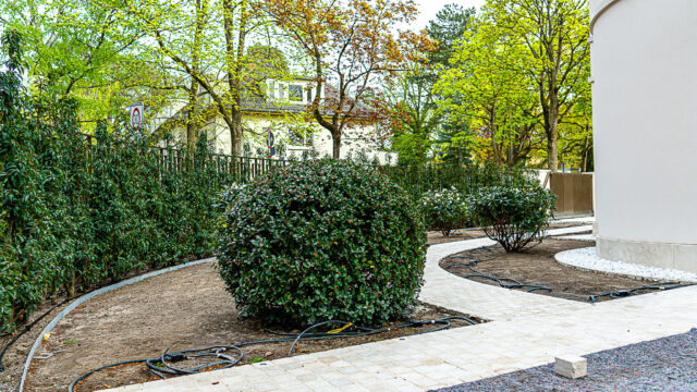 lencro_gartenbau_gala_projekt_stadtvilla-20