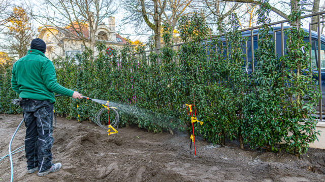 lencro_gartenbau_gala_projekt_stadtvilla-21