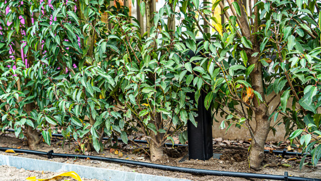 lencro_gartenbau_gala_projekt_stadtvilla-22