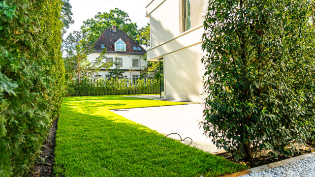 lencro_gartenbau_gala_projekt_stadtvilla-23
