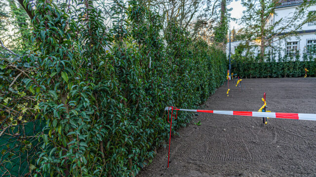 lencro_gartenbau_gala_projekt_stadtvilla-26