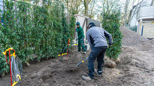 lencro_gartenbau_gala_projekt_stadtvilla-29