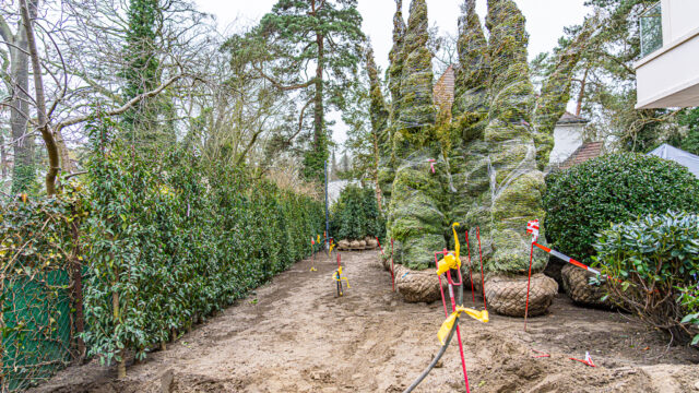 lencro_gartenbau_gala_projekt_stadtvilla-30