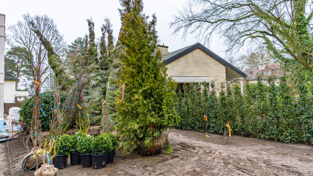 lencro_gartenbau_gala_projekt_stadtvilla-32
