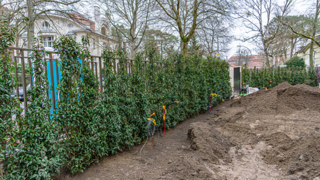 lencro_gartenbau_gala_projekt_stadtvilla-34