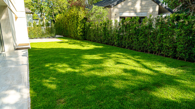 lencro_gartenbau_gala_projekt_stadtvilla-35