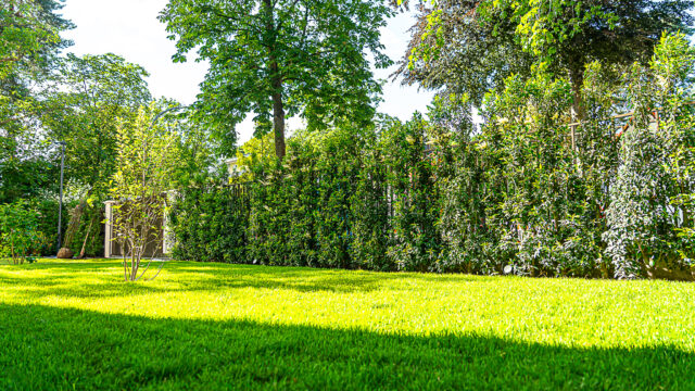 lencro_gartenbau_gala_projekt_stadtvilla-52
