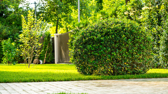 lencro_gartenbau_gala_projekt_stadtvilla-61
