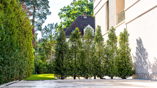 lencro_gartenbau_gala_projekt_stadtvilla-75