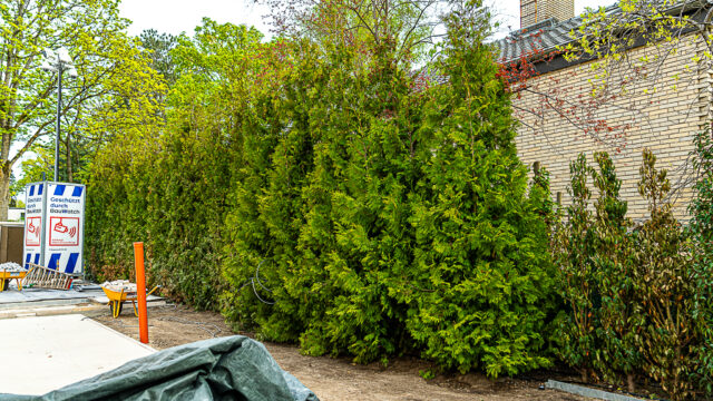 lencro_gartenbau_gala_projekt_stadtvilla-9